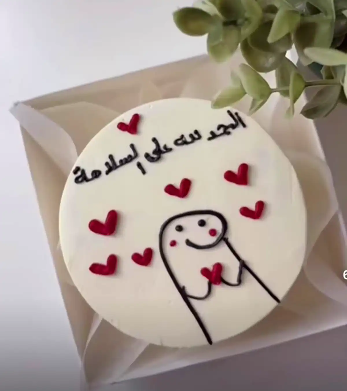 کیک طرح میقولی ؟