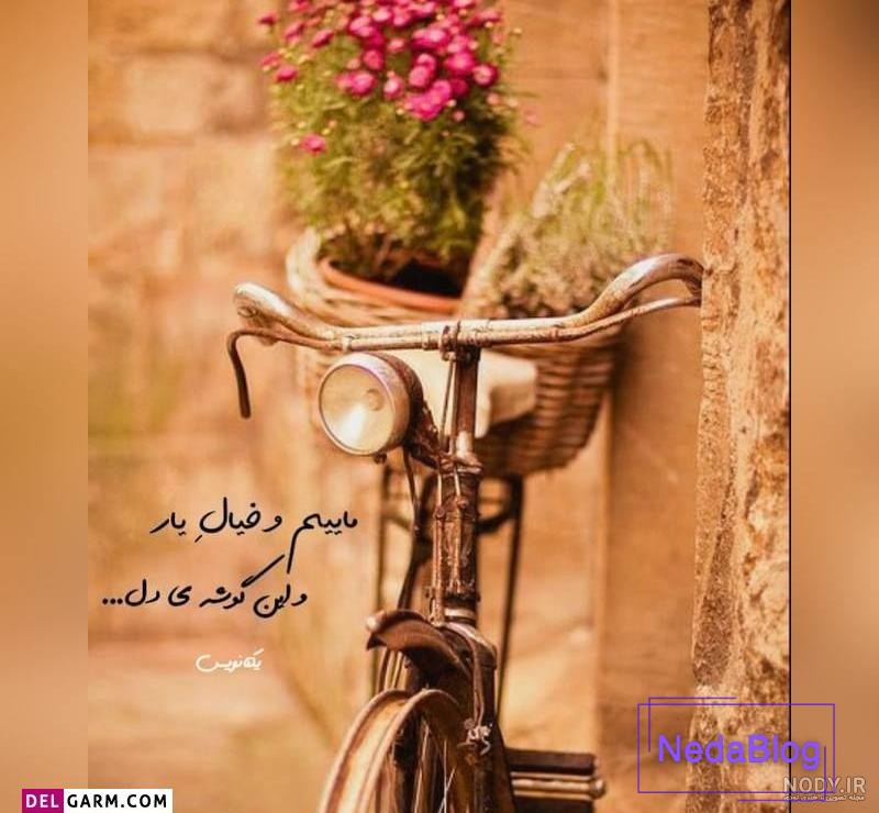 آلبوم شیک ترین عکس پروفایل های لاکچری 2019 جدید - تــــــــوپ تـــــــــاپ