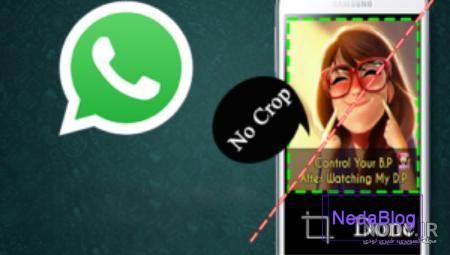 آموزش تغییر عکس پروفایل واتساپ + مخفی کردن آن - نوماوب
