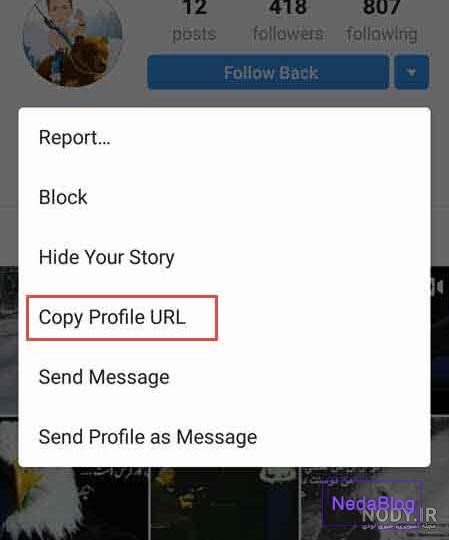 آموزش تنظیم بزرگ نشدن عکس پروفایل اینستاگرام (نسخه فارسی و انگلیسی) - انزل  وب
