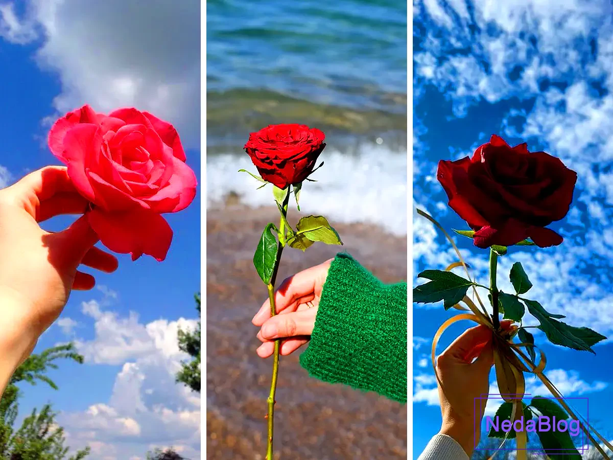 خفن ترین عکس های پروفایل پسرانه - عکس نودی