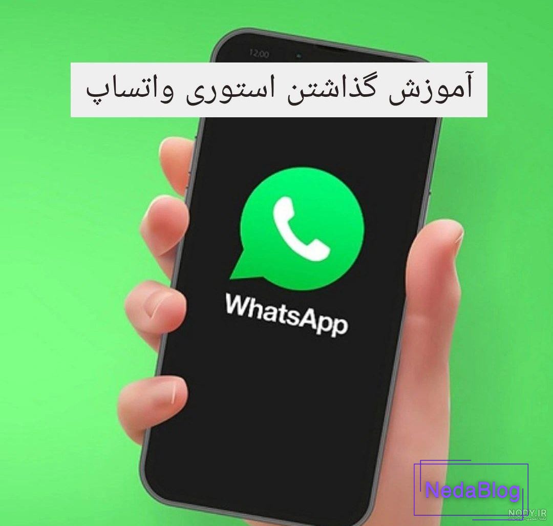 راهنمای کامل سایز استاندارد عکس برای شبکه های اجتماعی