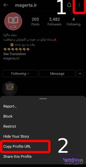 1+1 روش برای بزرگ نشدن عکس پروفایل اینستاگرام