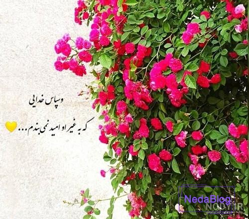 عکس پروفایل خدایا شکرت 2023 | خدایا شکرت برای نگاه پر مهرت | خدایا شکرت به هزارویک دلیل عکس پروفایل خدایا شکرت 2023 | خدایا شکرت برای نگاه پر مهرت | خدایا شکرت به هزارویک دلیل