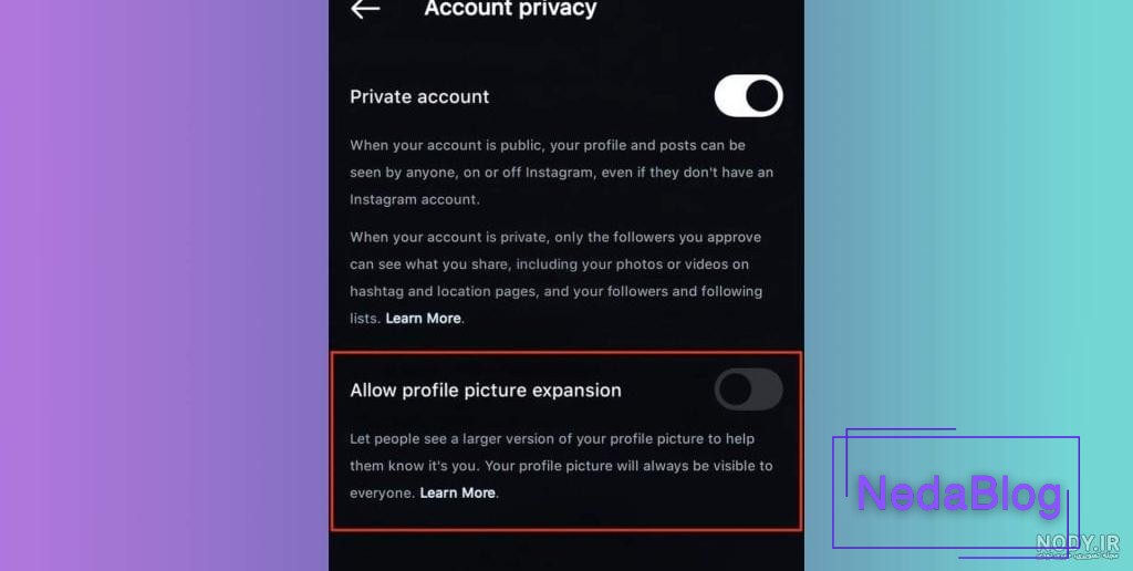 چگونه عکس پروفایل اینستاگرام را قفل کنیم - عکس نودی
