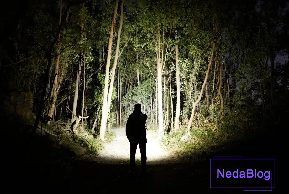 فردی در حال استفاده از چراغ قوه دستی در تاریکی جنگل