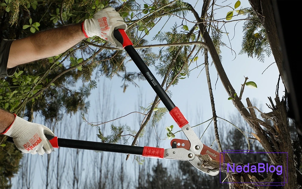 قیچی شاخه زن رونیکس