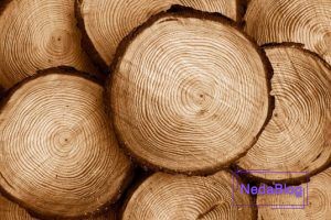 چوب های مناسب برای ساخت ساز