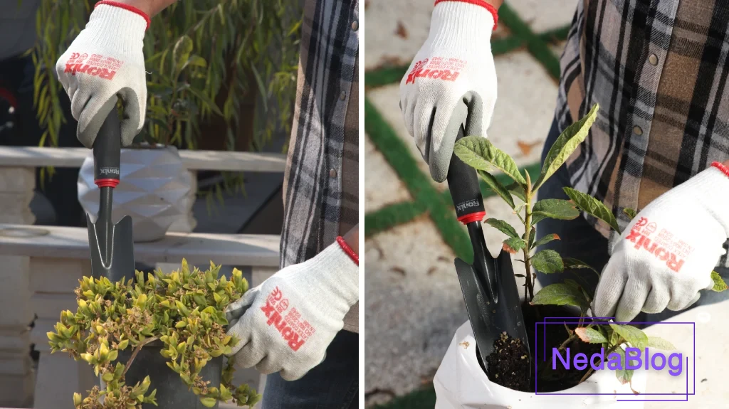 دستکش مناسب برای باغبانی؛دست‌هایی سالم، باغی پرثمر