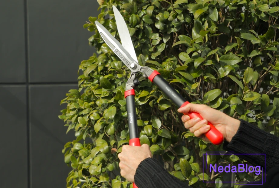 قیچی شمشاد زن رونیکس RH-3110