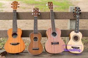 آیا جنس فرت ها درگیتار از نقره است؟