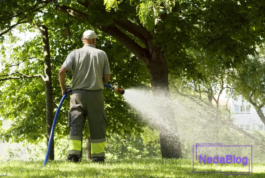 آبیاری درختان با شلنگ