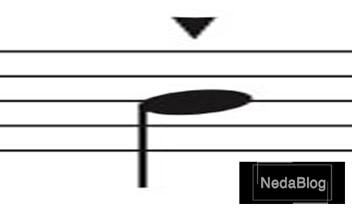 استکاتیسیمو