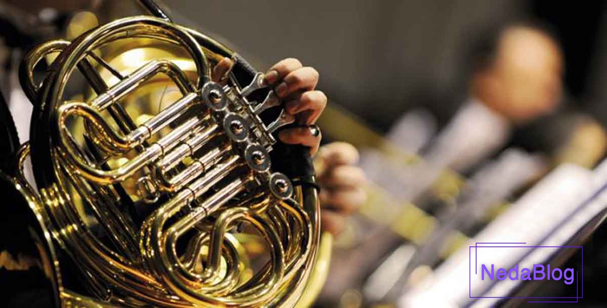 تاریخچه تکامل ساز هورن