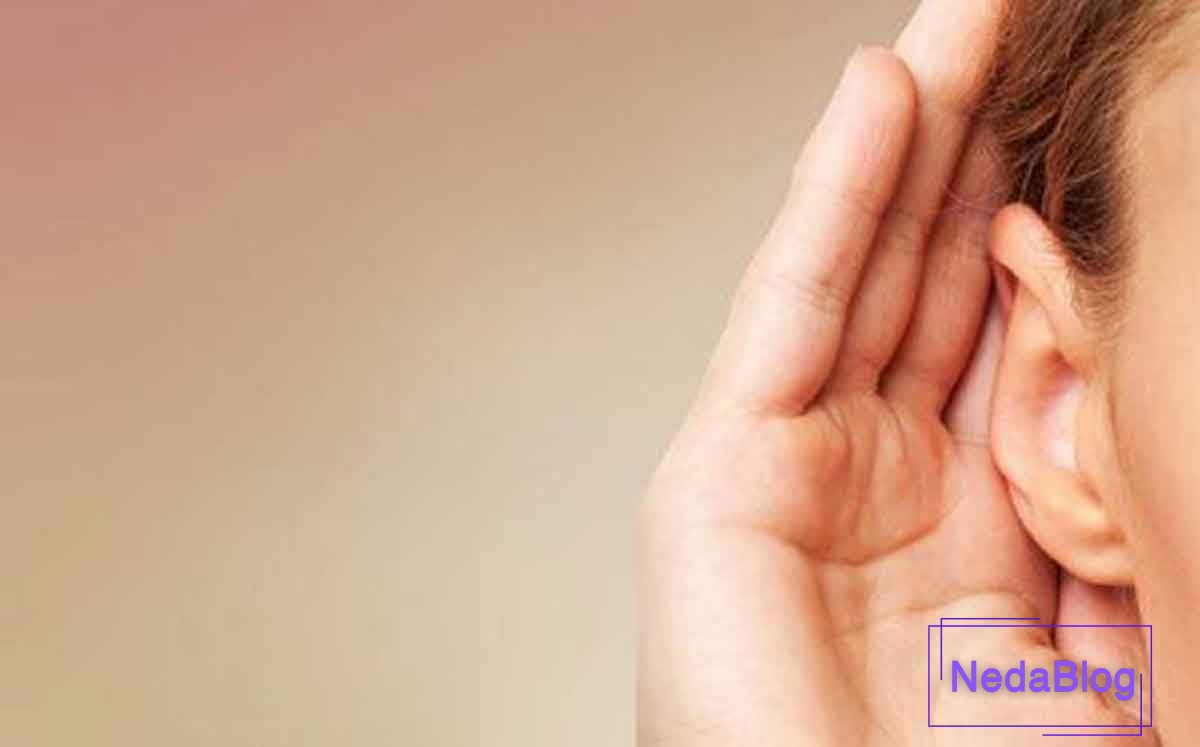 موزیکالیته به چه معناست؟