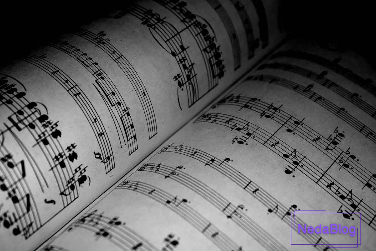 نت شاهد چیست ؟