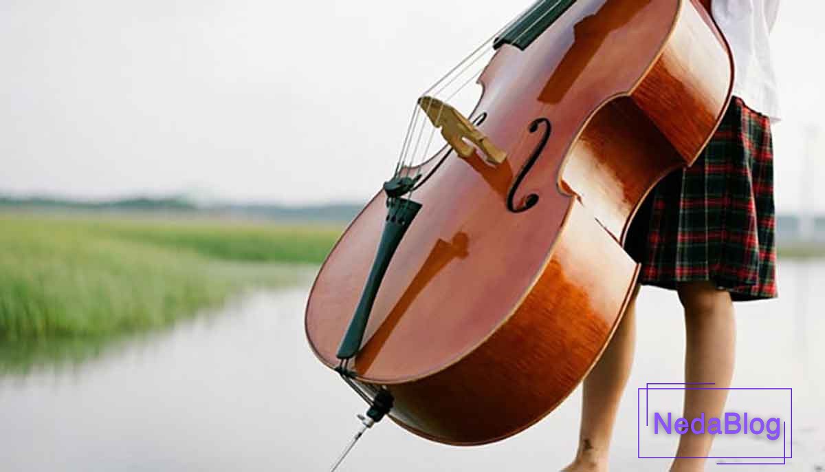 یادگیری ویلون راحت تر است یا ویولنسل؟