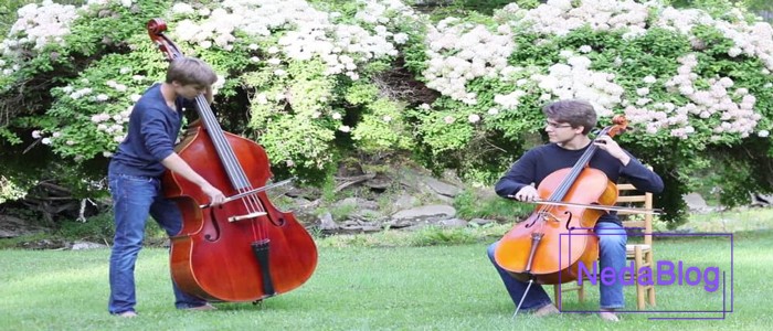 تفاوت ویولن سل و کنترباس