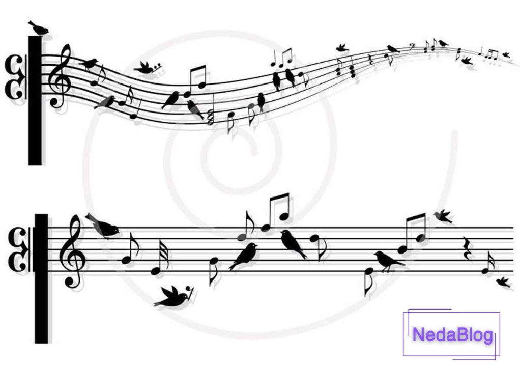 آشنایی کامل با فرم واریاسیون