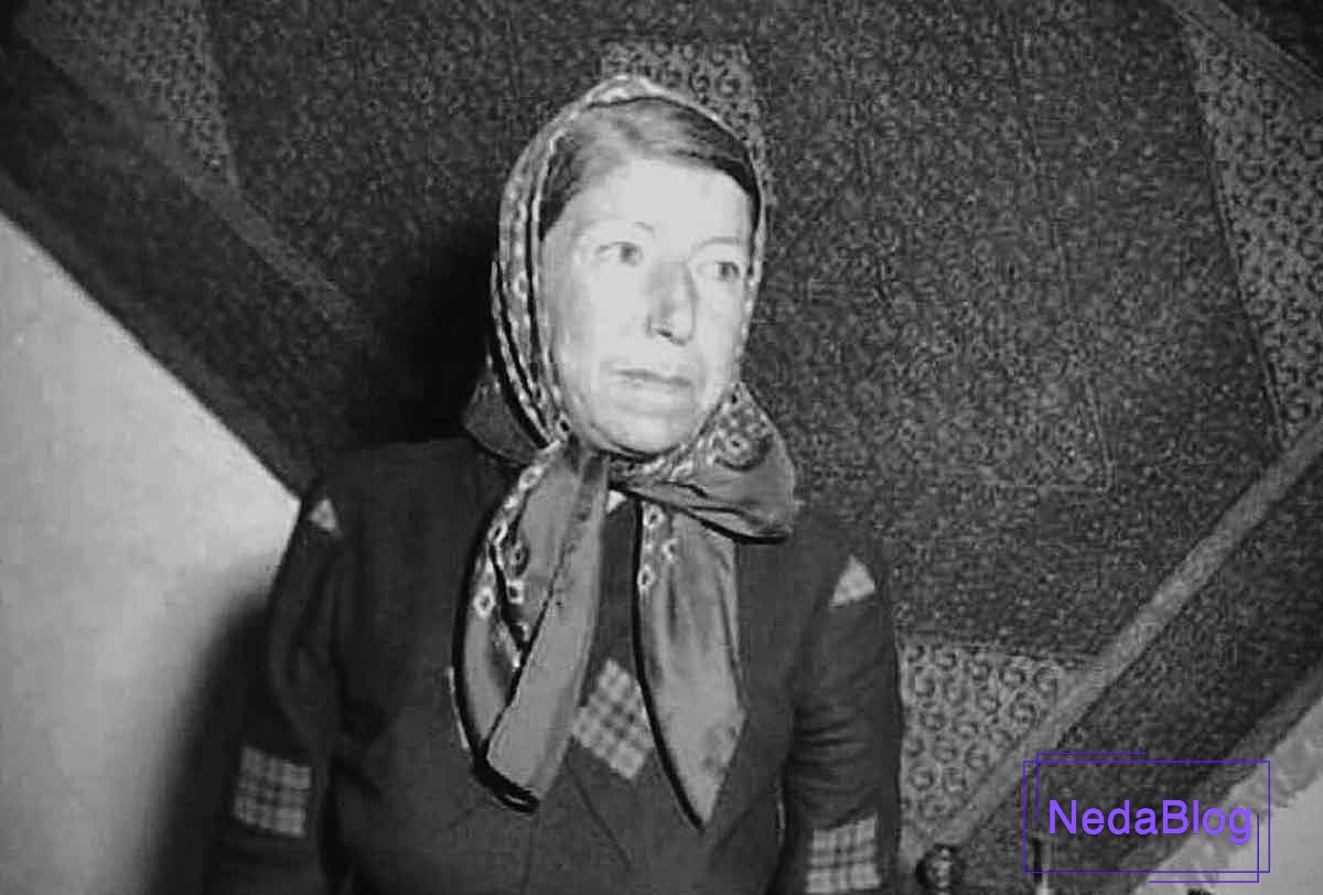 قمرالملوک وزیری