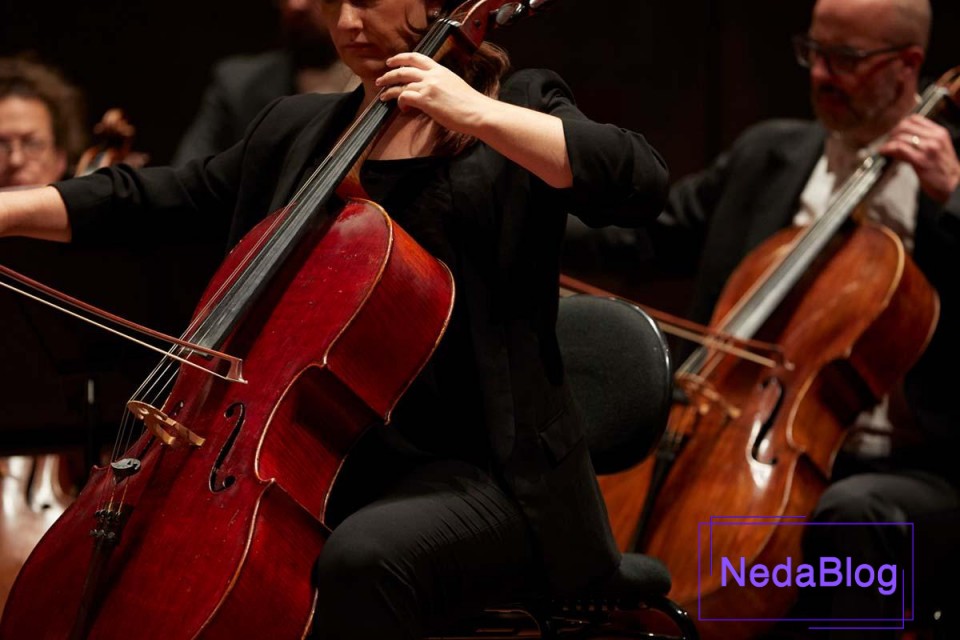 بهترین نوازندگان ویولن سل دنیا