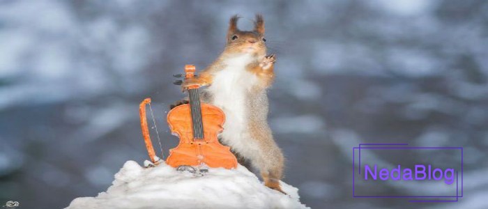 کوچک ترین سازهای دنیا