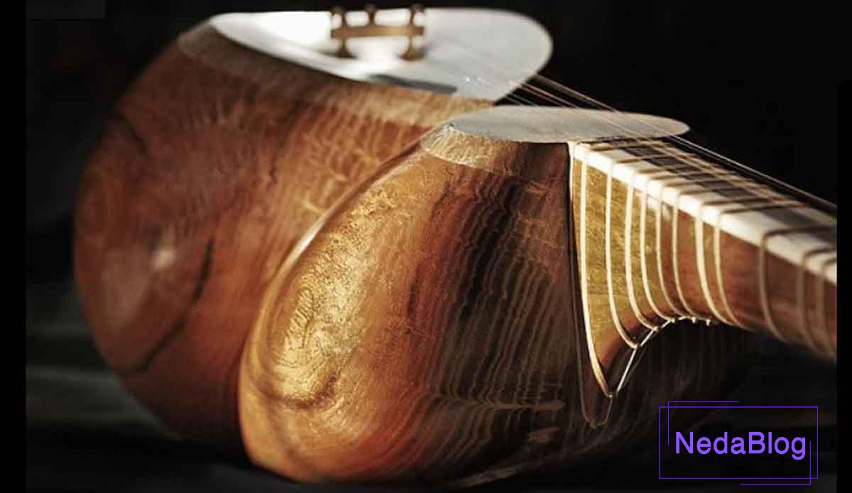 ویژگی های پوست مناسب برای ساز تار