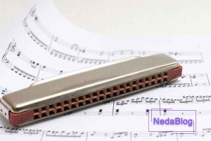 آشنایی با سازدهنی ترمولو